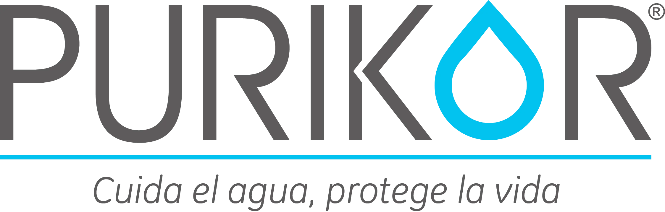 Especialistas Purikor  Las Mejores Marcas de Equipos de Filtraci�n para Suavizar y Purificar el Agua en Sistemas Industriales - Rivol Water